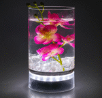 Bright peach hanging paper tissue fan - Image 3